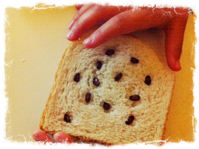 Una tostada de pan integral con pepitas de sandía dispuestas en círculo, sostenida por la mano de un niño
