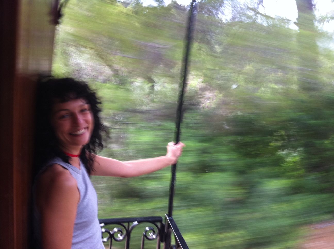 Una dona somrient a la finestra d'un tren en marxa, amb el paisatge desdibuixat