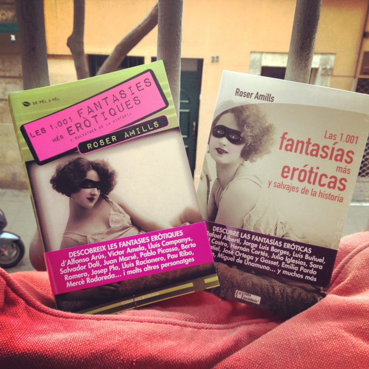 Les edicions en català i en castellà del llibre de les 1.001 fantasies de Roser Amills, sobre un coixí vermell al costat d'una finestra