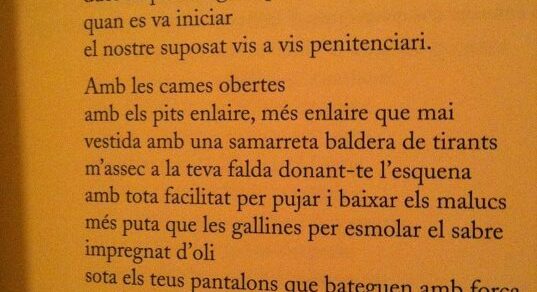 Pàgina del poemari Morbo amb el poema «La llar de foc», de Roser Amills