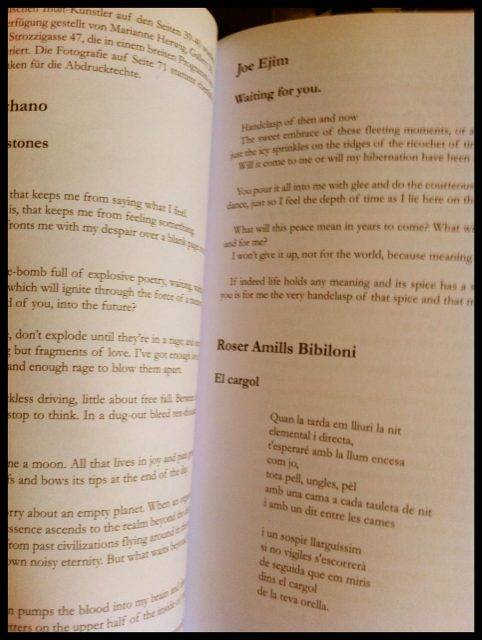 driesch roser amills morbo traduccion