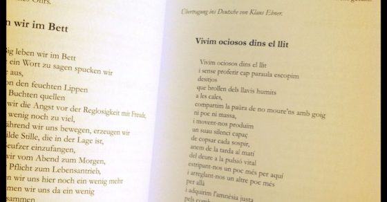 revista driesch con poemas de roser amills traducidos al aleman