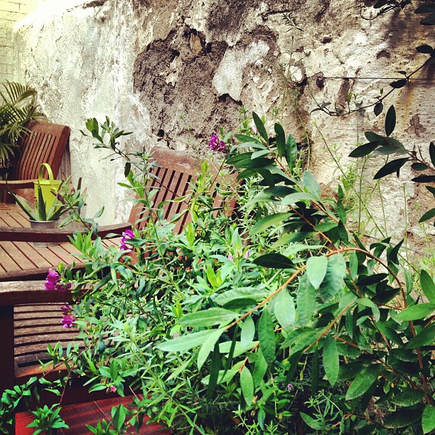 Terraza con una planta de flores moradas y mesas y sillas de madera junto a un muro de piedra