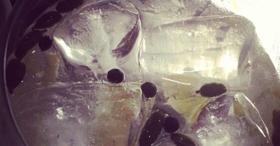 Copa de gin-tonic sobre una mesa