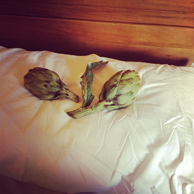 alcachofas en la cama