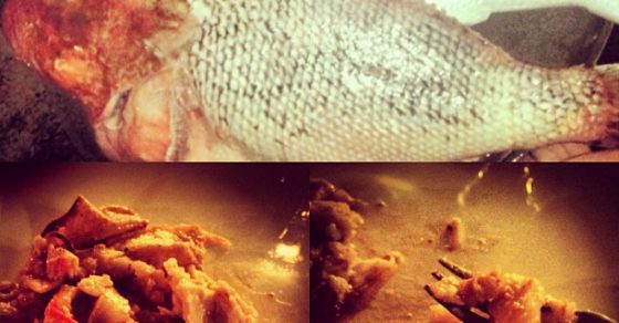 cena deliciosa pescado