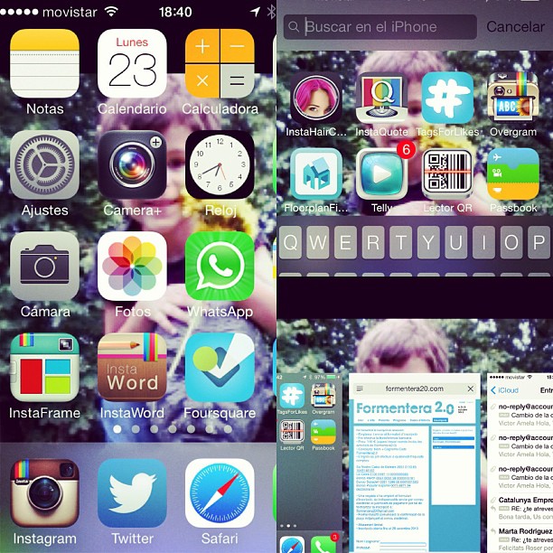Diferentes Capturas De Pantalla Ordenador De Roser Amills