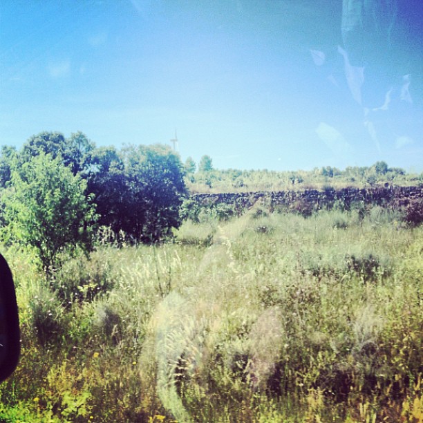 Un Bosque Mediterraneo