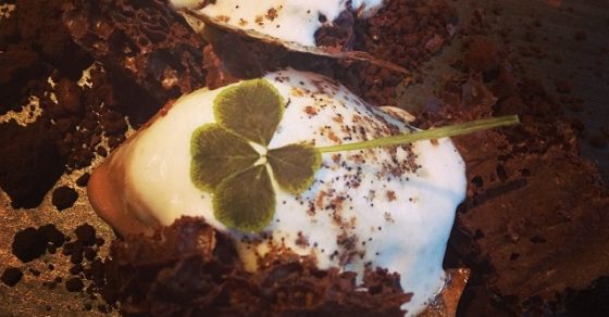 26e4405e8b5e11e391a0122461161ebf 8