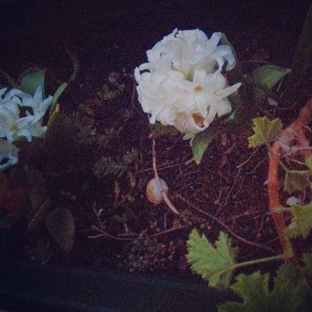 69ab597c947811e3ba150e6285b91557 8