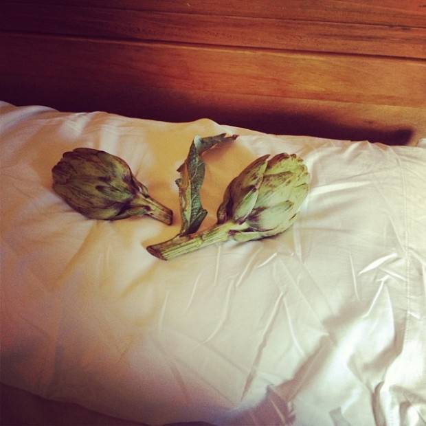 alcachofas cama roser amills y victor amela