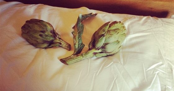 Alcachofas En La Cama Roser Amills Y Victor Amela