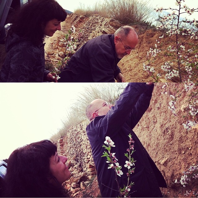 Montaje de dos fotos: Bigas Luna y Roser Amills recogen ramas de almendro en flor junto a un talud