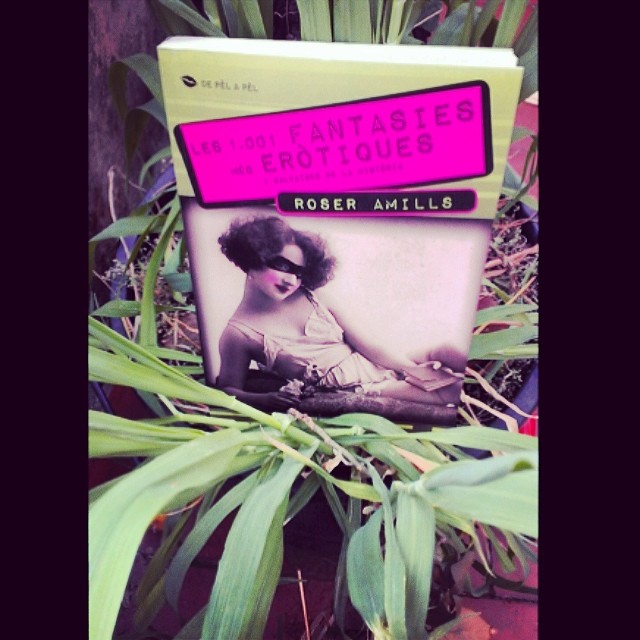 les 1001 fantasies, llibre de roser amills