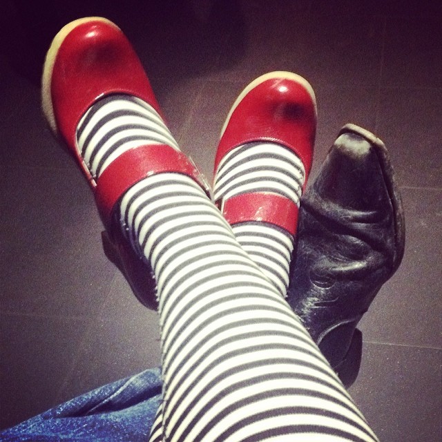 pies de roser amills