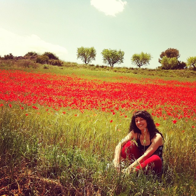 roser amills campo de amapolas retrato