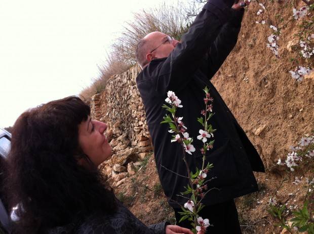 bigas luna y roser amills flores de almendro