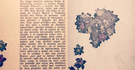 Ana Maria Moix Libro No Time For Flowers