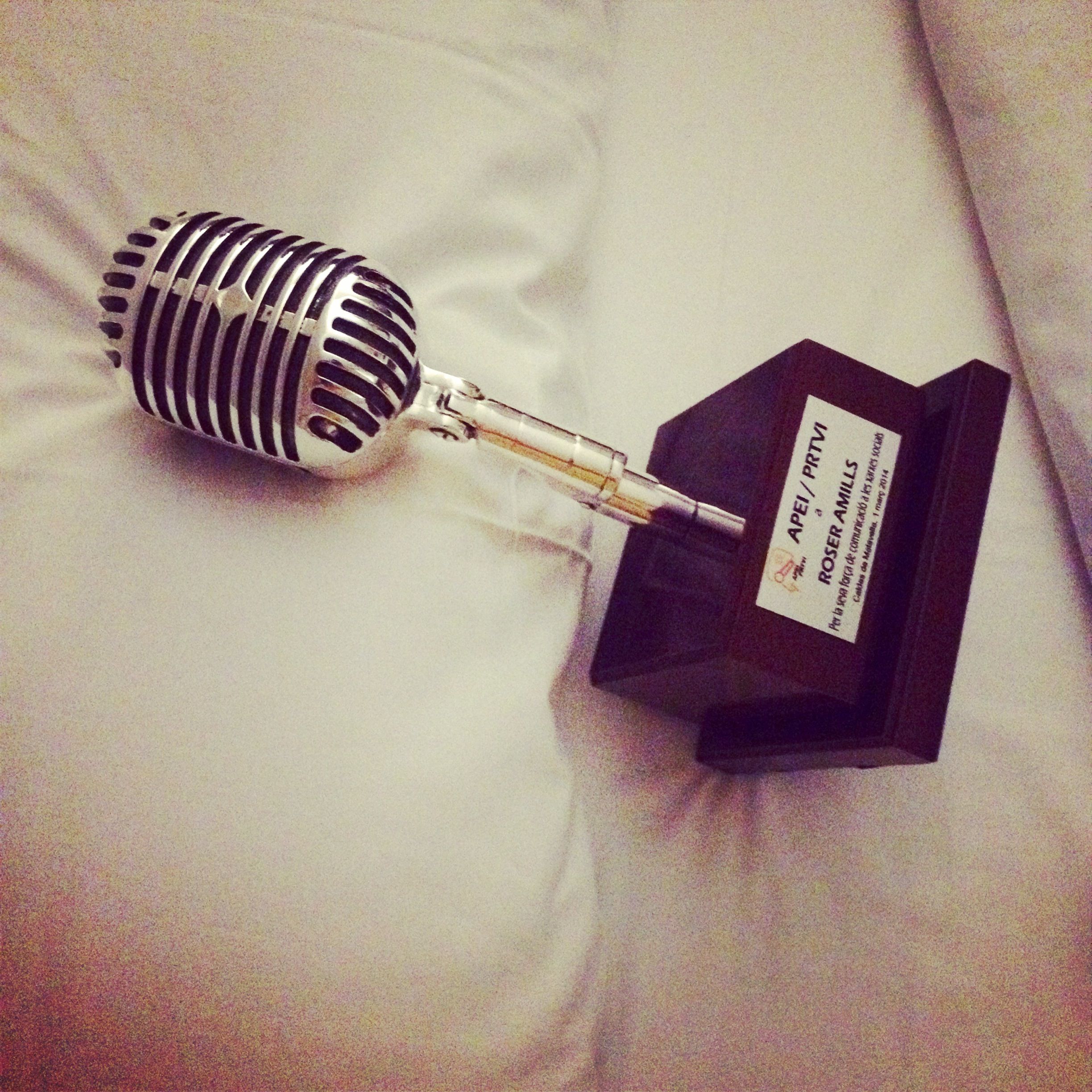 Microfono De Plata De Informadsores Premios Apei 2014 Roser Amills