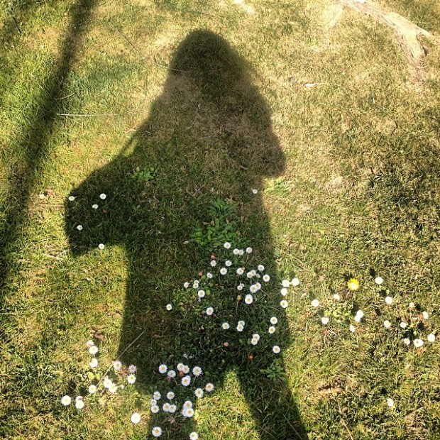 Sombra de roser amills