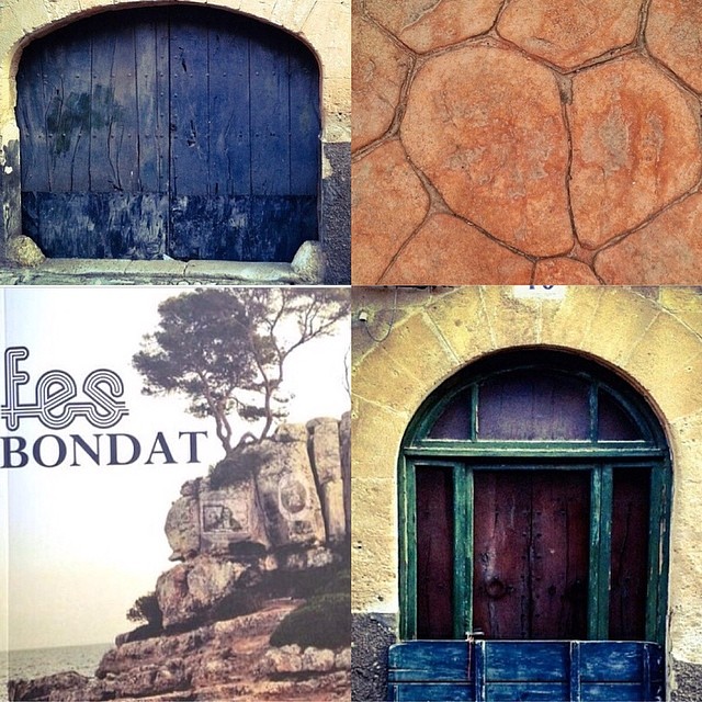 Fes bondat de roser amills