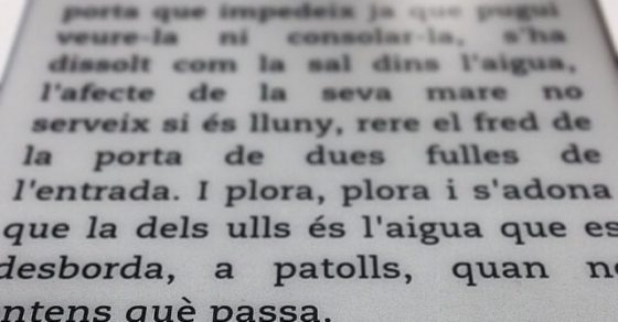 novela de roser amills se buena