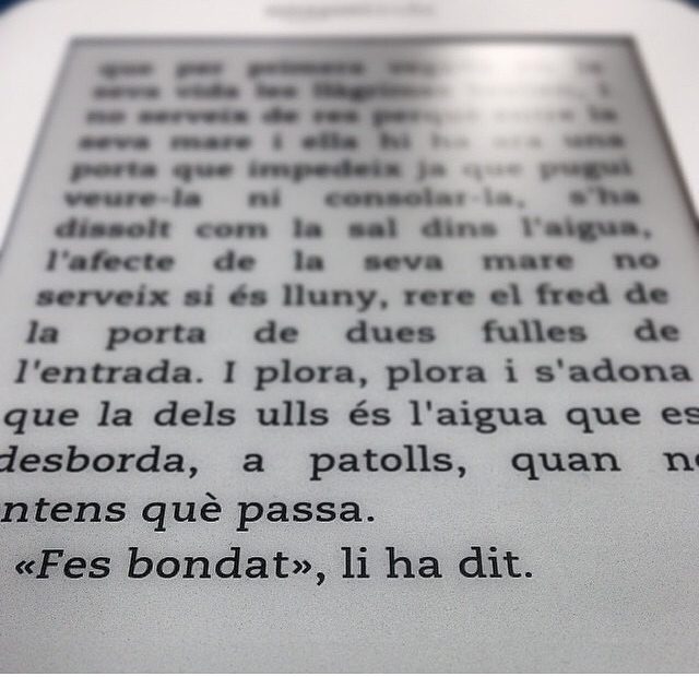 novela de roser amills se buena