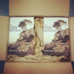 Novela Se buena de Roser Amills en la libreria Serret