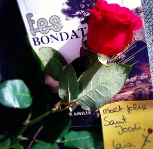 Roser Amills, novel.la Fes bondat