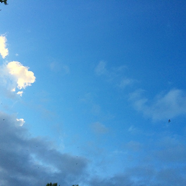 cielo azul con pequeñas nubes