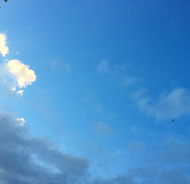 Cielo Azul Pequenas Nubes