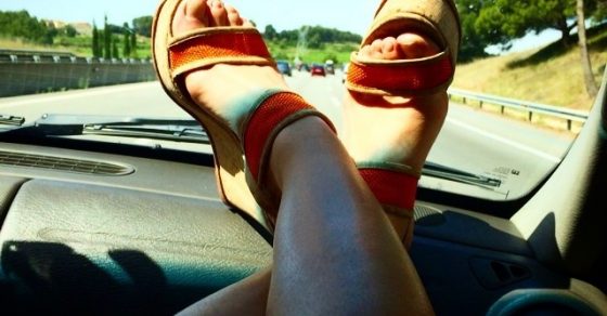 pies de roser amills