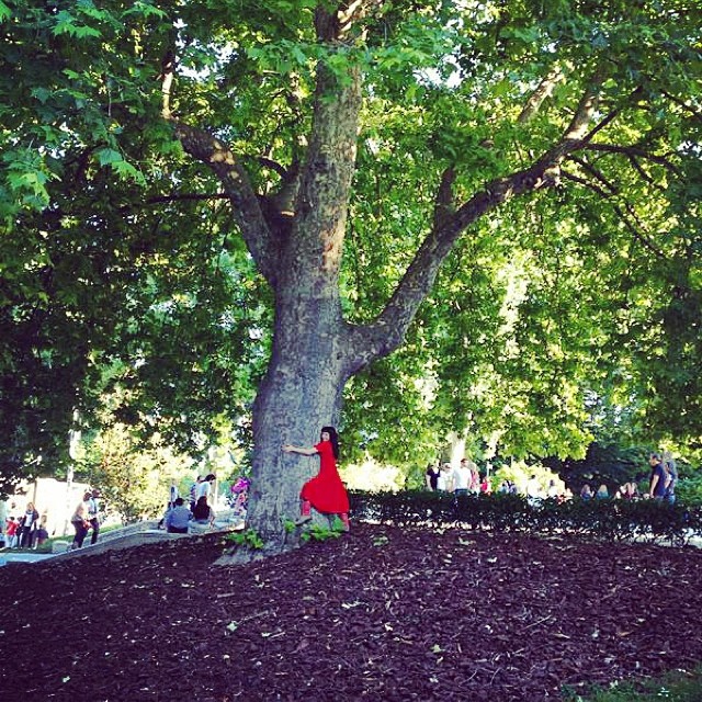 Mujer con vestido rojo abrazada al tronco de un gran plátano en un parque, con gente al fondo