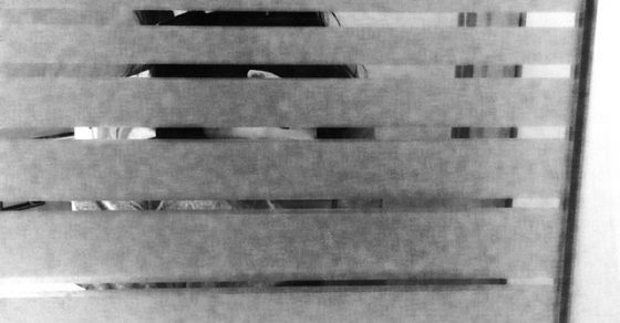 Roser Amills Selfie En El Lavabo Tren Ave Madrid Barcelona