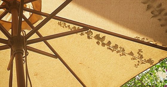 Sombrilla De Cafeteria