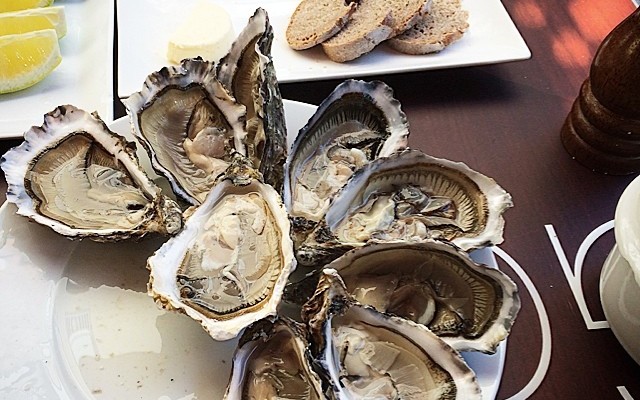 ostras