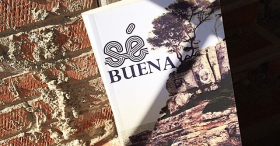 se buena la novela de roser amills en la ventana