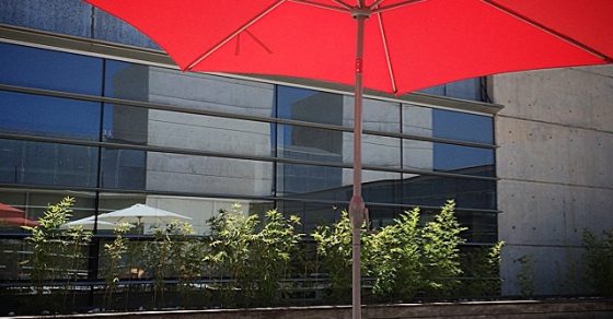 terraza de la cafeteria plato arucytis