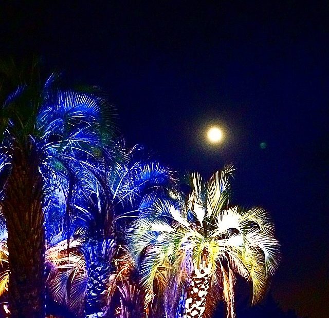Foto Super Luna De Verano Palmeras