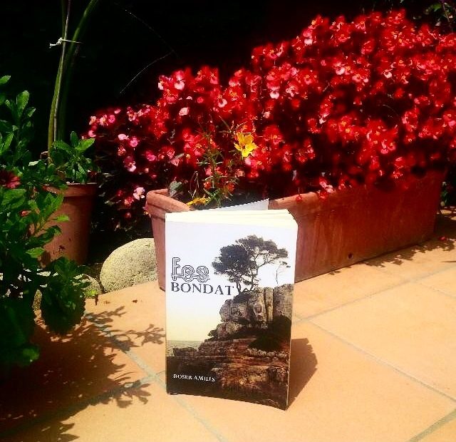 libro de roser amills fes bondat