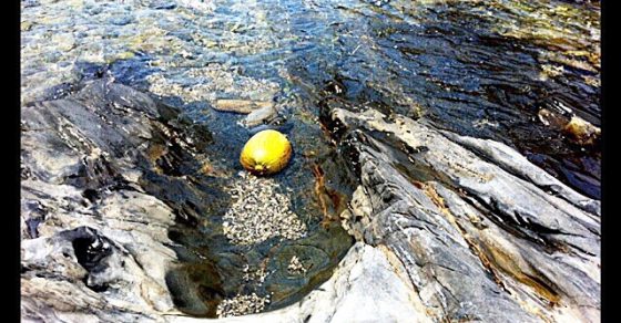 Melon En El Mar En Cadaques