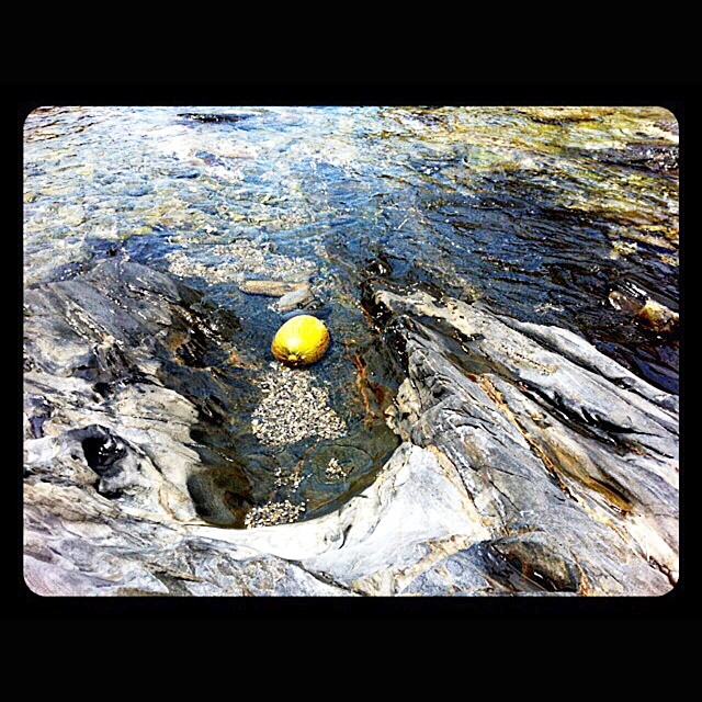 Melon En El Mar En Cadaques