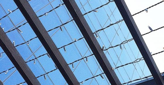 Techo Bombillas Casa Martinez