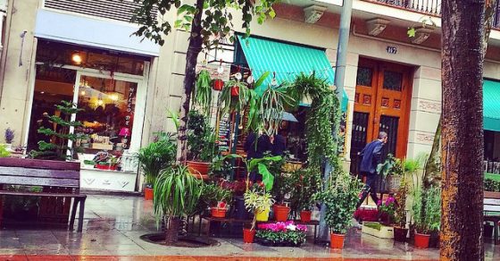 bonita floristeria de barcelona