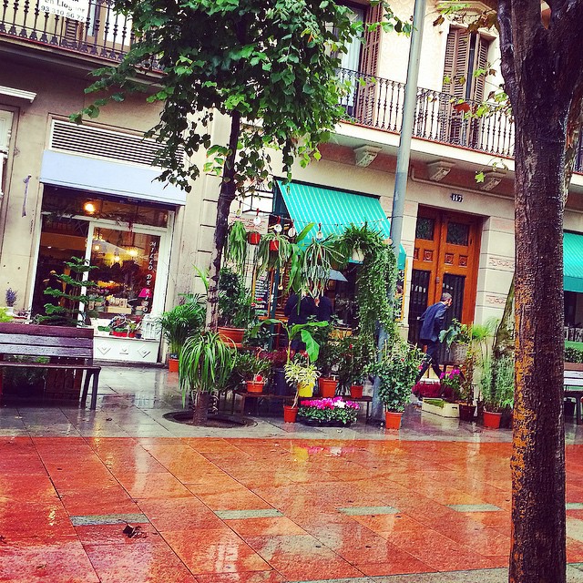 bonita floristeria de barcelona
