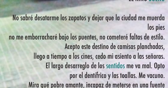 “El poema cesa de ser comunicación para volverse contacto”. Julio Cortázar - Roser Amills, escritora mallorquina