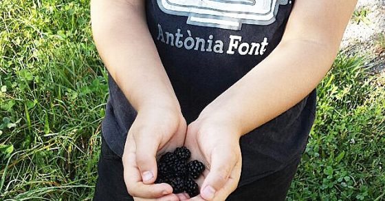 Quedan moras!! 6 hijo de roser amills, juan, con moras en las manos en 2014