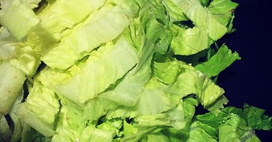 Lechuga Ensalada