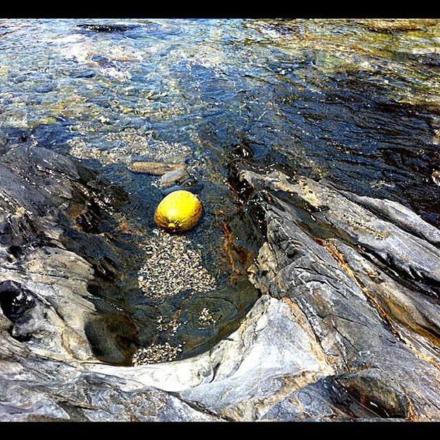Melon En El Mar Playa De Cadaques