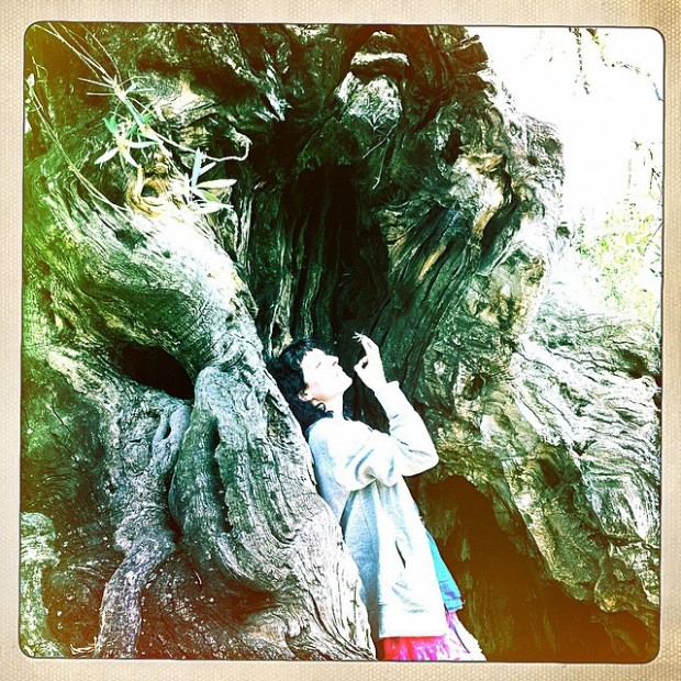 roser amills pedir deseo